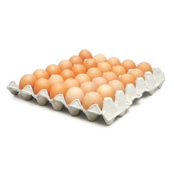Medium Eggs-(Size 3)-1x3002